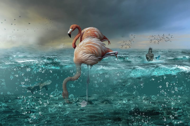 Mermaid Fantasy